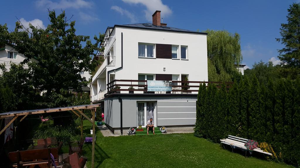 Agroturystyka Blizniaczek Rymanów-Zdrój エクステリア 写真